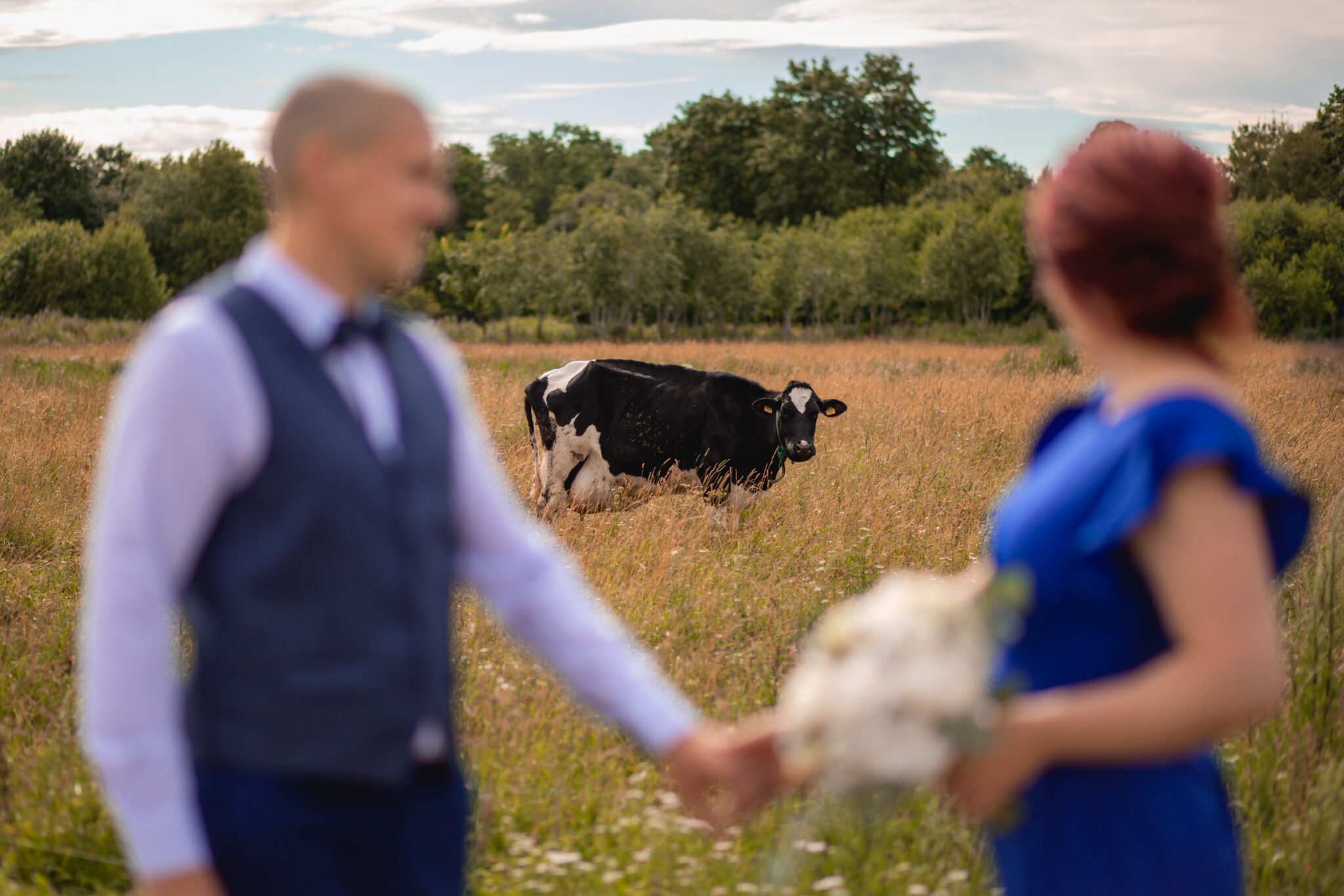 Pulmapildid perega kodutalus I Fotograaf Reti Kokk