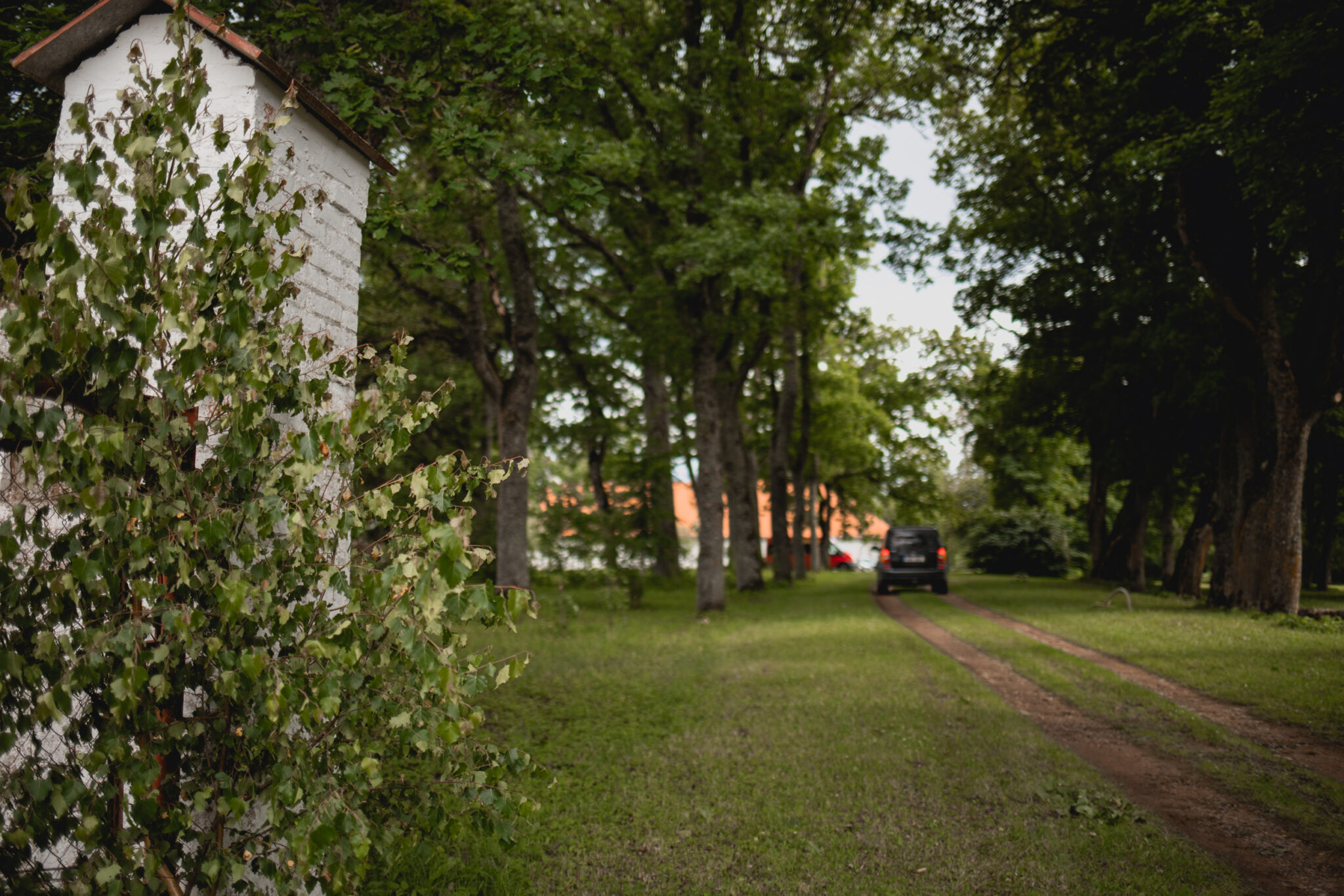 Pulmapidu Pada aidas I Fotograaf Reti Kokk