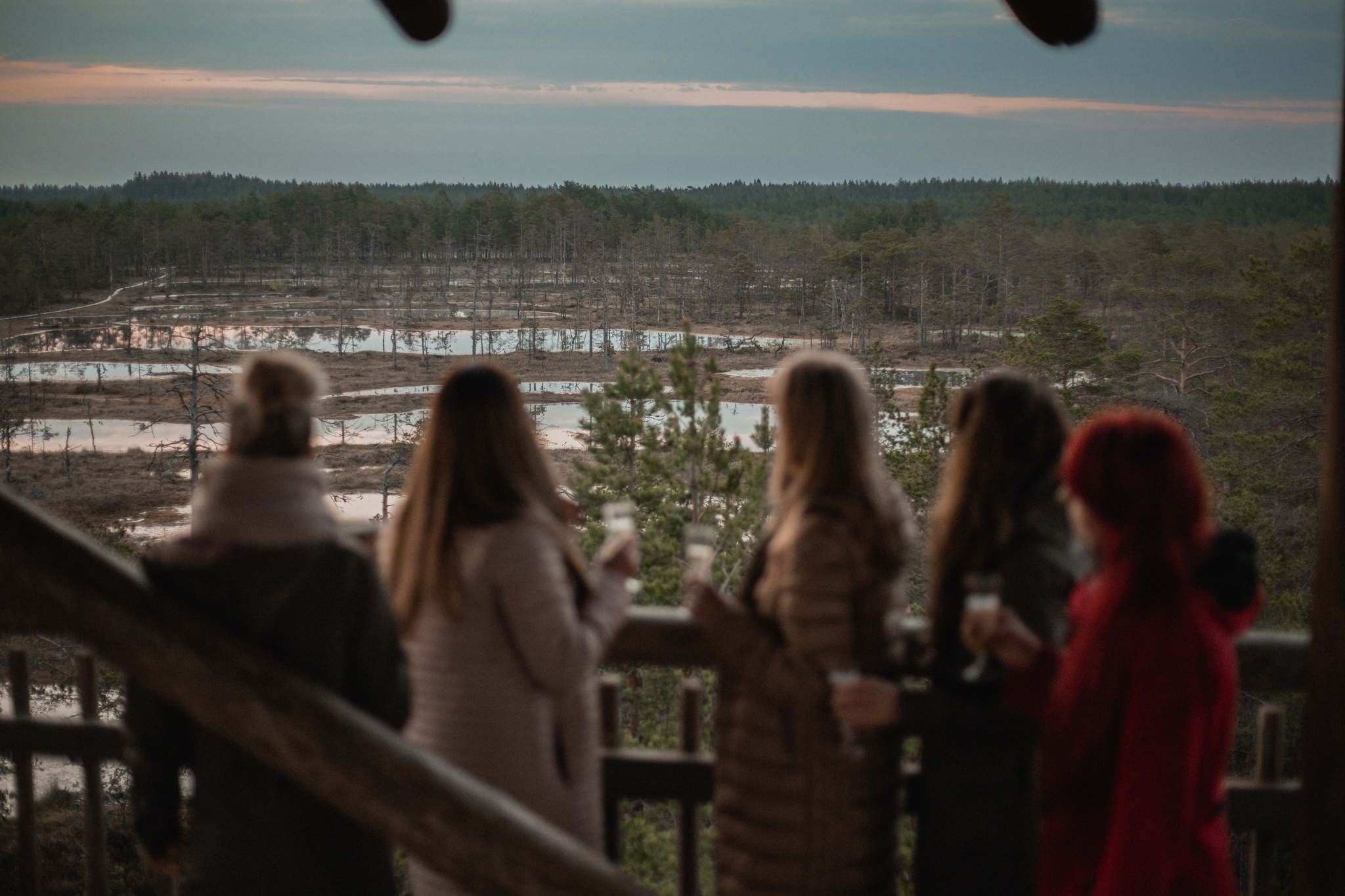 Sünnipäev päikesetõusuga rabas