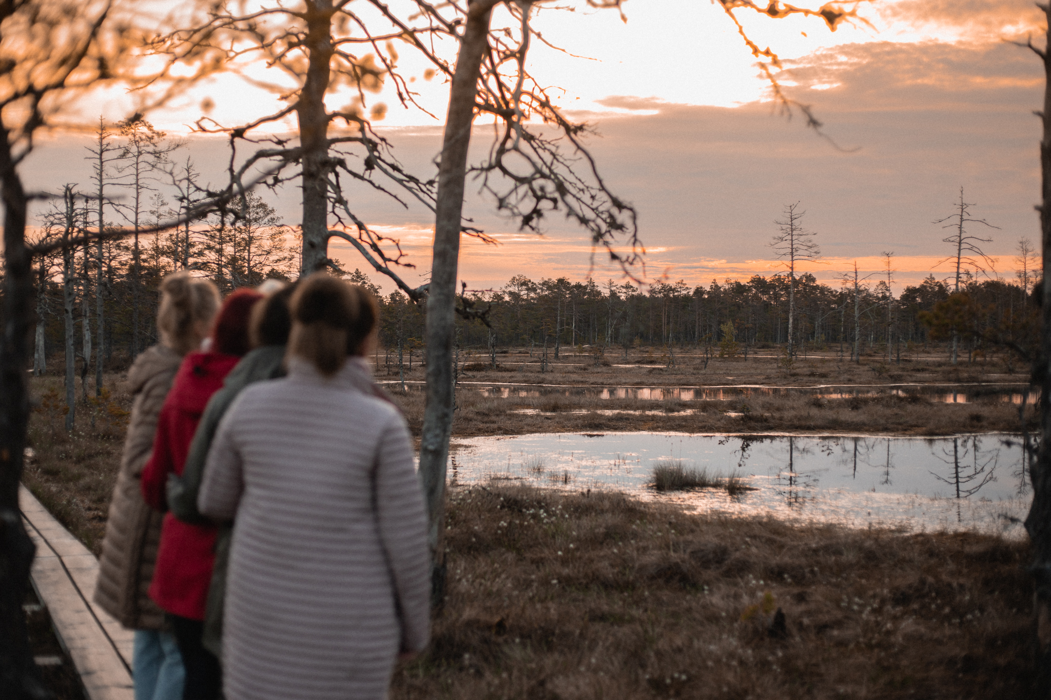 Sünnipäev päikesetõusuga rabas