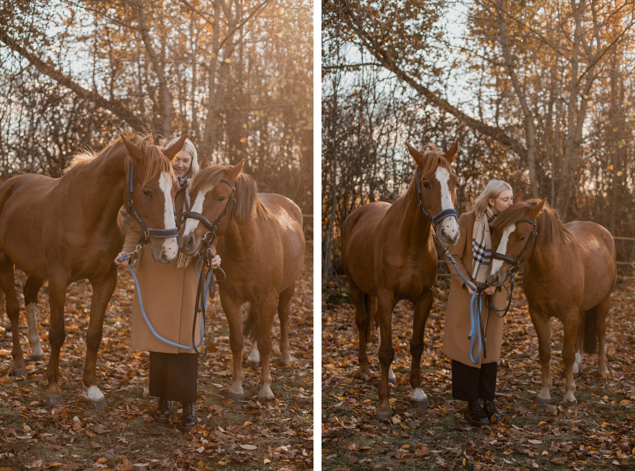 Portreefotosessioon hobustega I Fotograaf Reti Kokk
