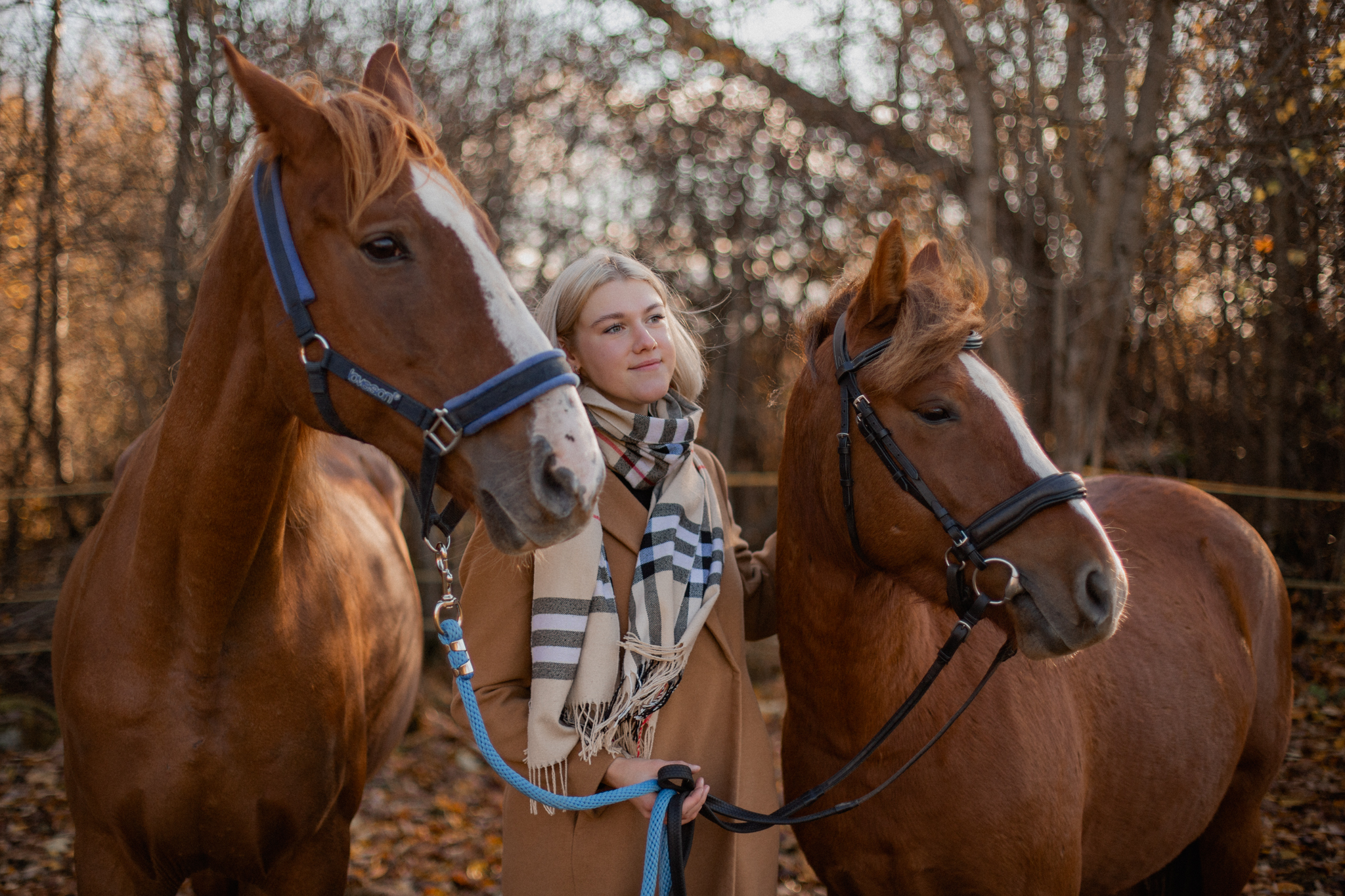 HorseTeam Estonia I Fotograaf Reti Kokk