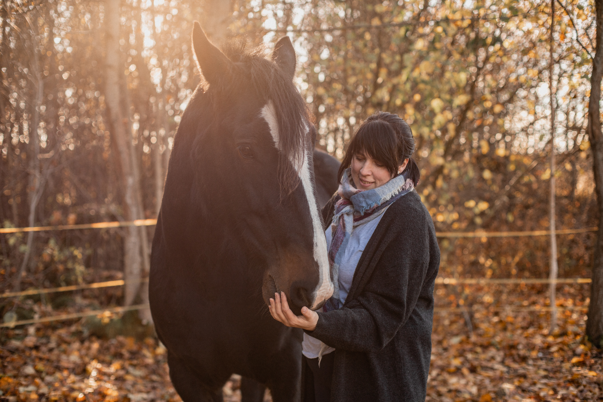 HorseTeam Estonia I Fotograaf Reti Kokk