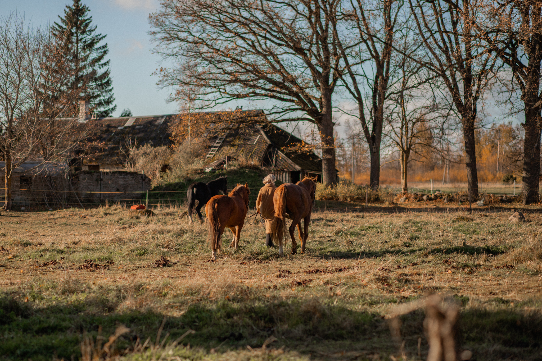 HorseTeam Estonia I Fotograaf Reti Kokk