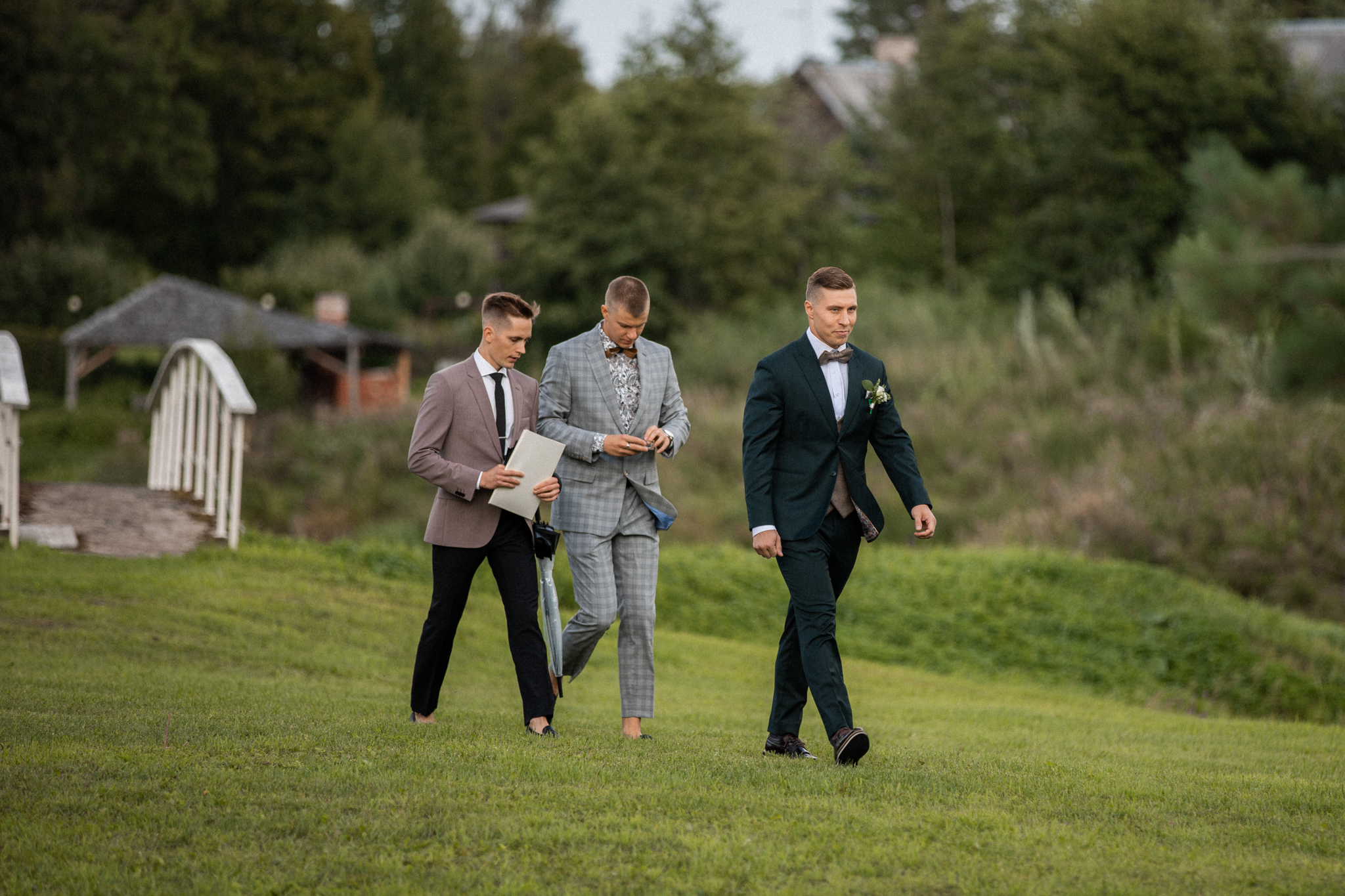 Pulmad Kadrina Mõisa Pullitallis I Fotograaf Reti Kokk