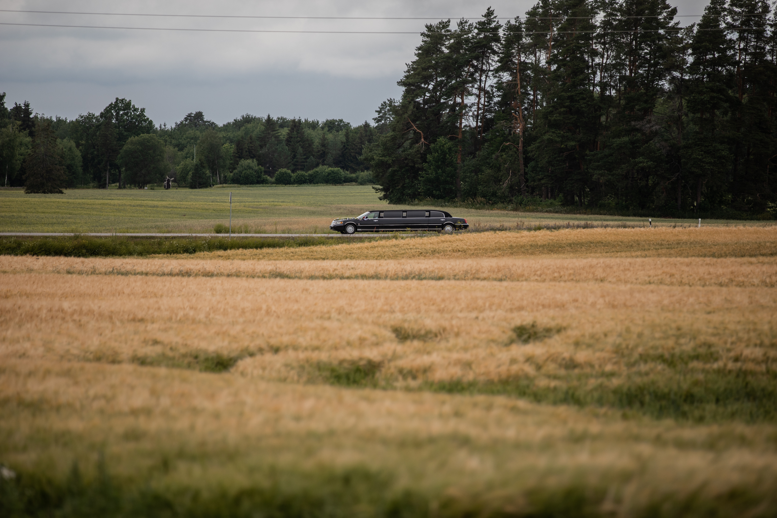 Limusiin pulma I Pulmafotograaf Reti Kokk