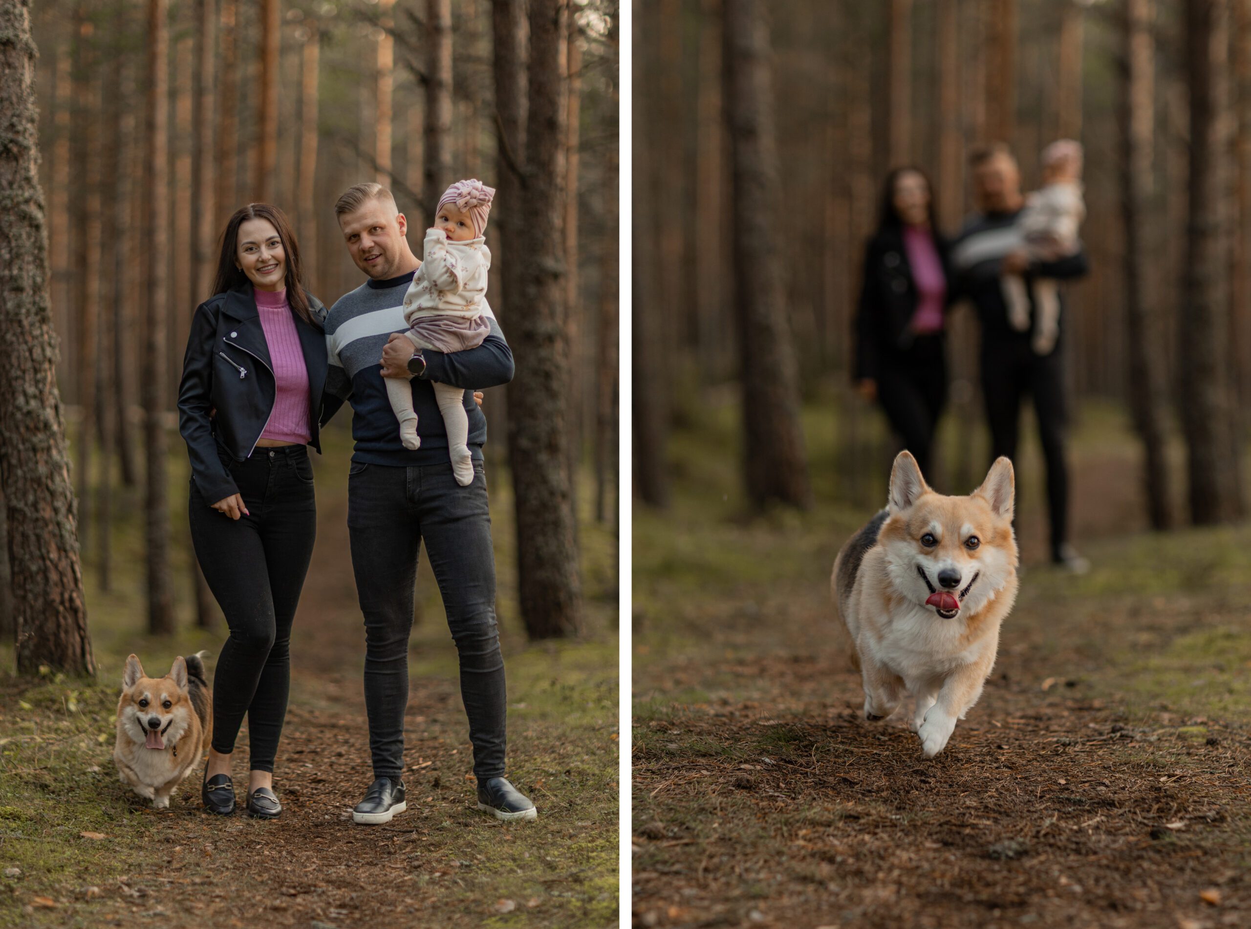 Perepildid koeraga metsas ja rannas I Fotograaf Reti Kokk