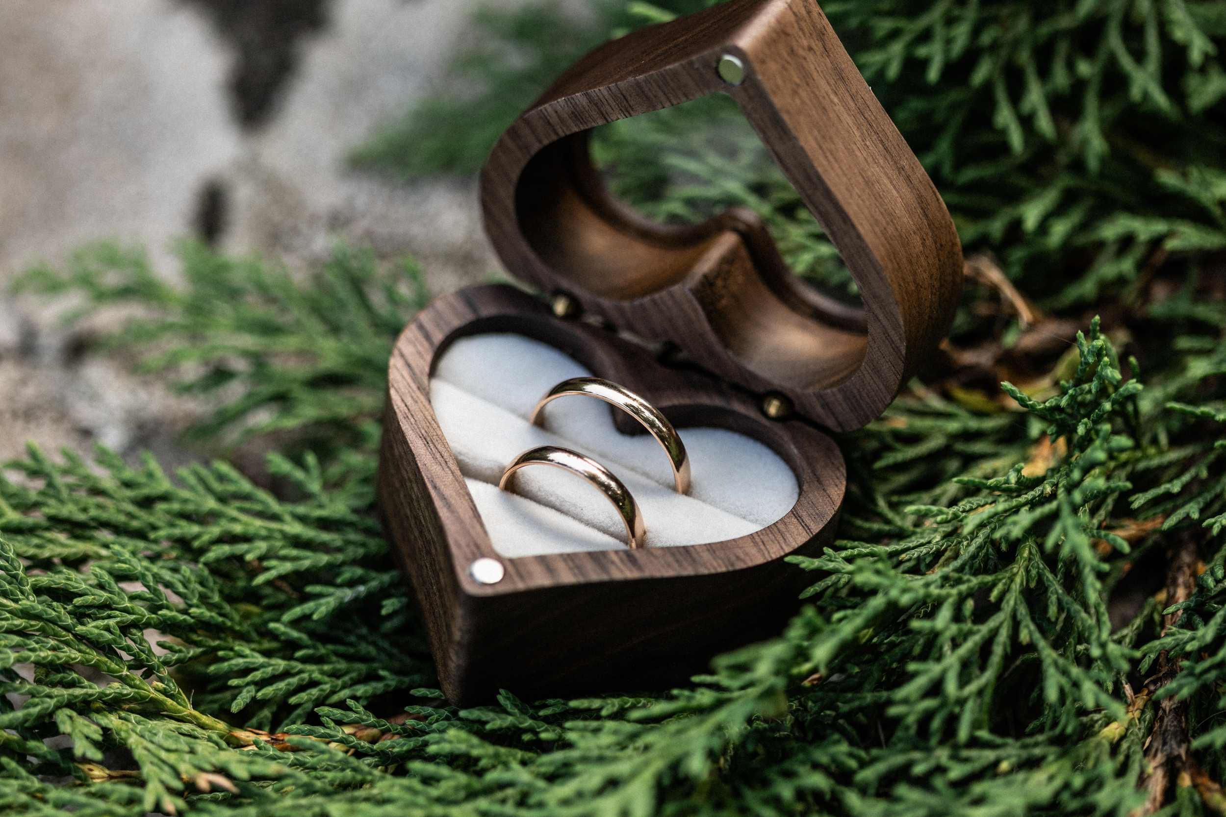 Festivalivaibiga telgipulm kodurannas I Pulmafotograaf Reti Kokk Festivalivaibiga telgipulm kodurannas I Pulmafotograaf Reti Kokk