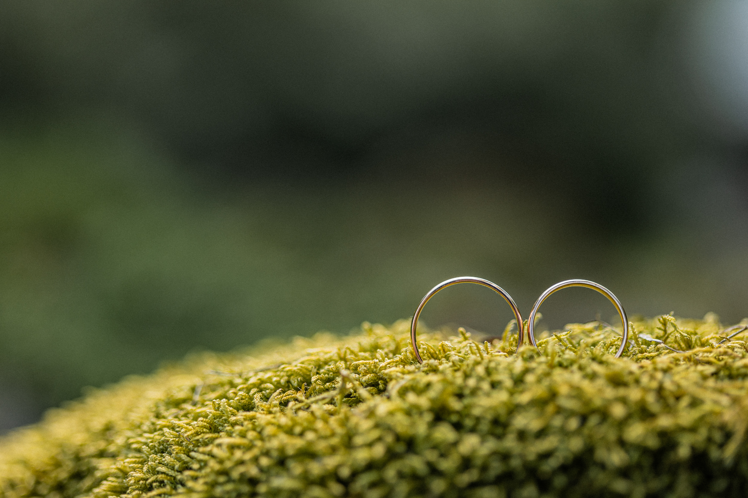 Festivalivaibiga telgipulm kodurannas I Pulmafotograaf Reti Kokk Festivalivaibiga telgipulm kodurannas I Pulmafotograaf Reti Kokk