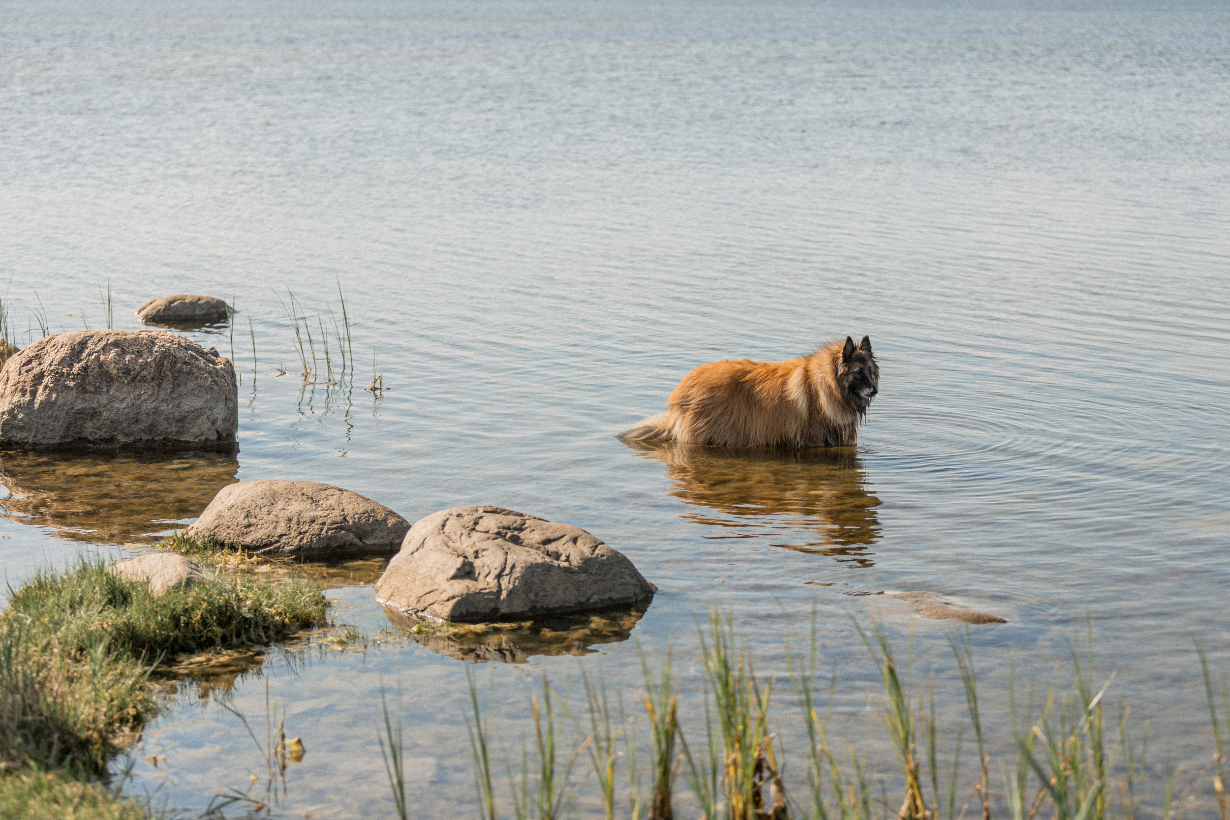 Pulm kodurannas I Pulmafotograaf Reti Kokk