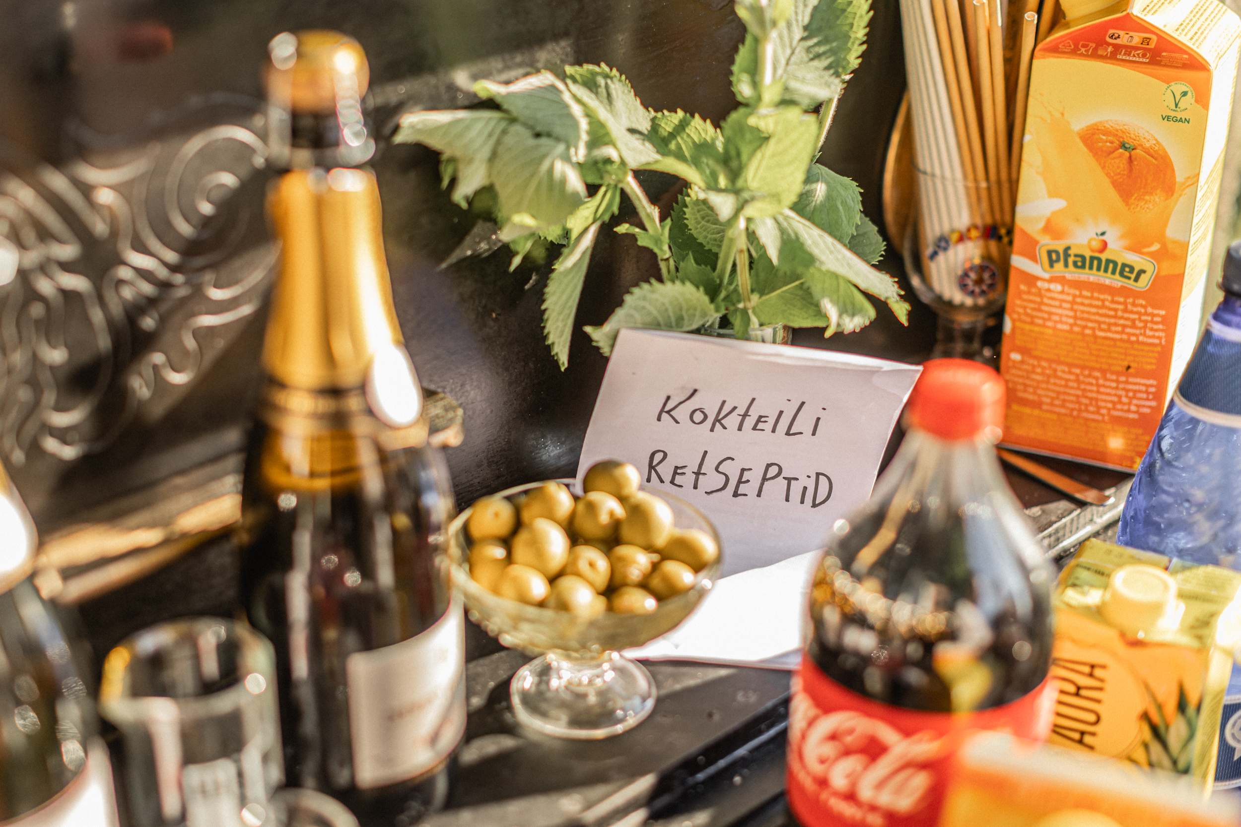 Pulm kodurannas I Pulmafotograaf Reti Kokk