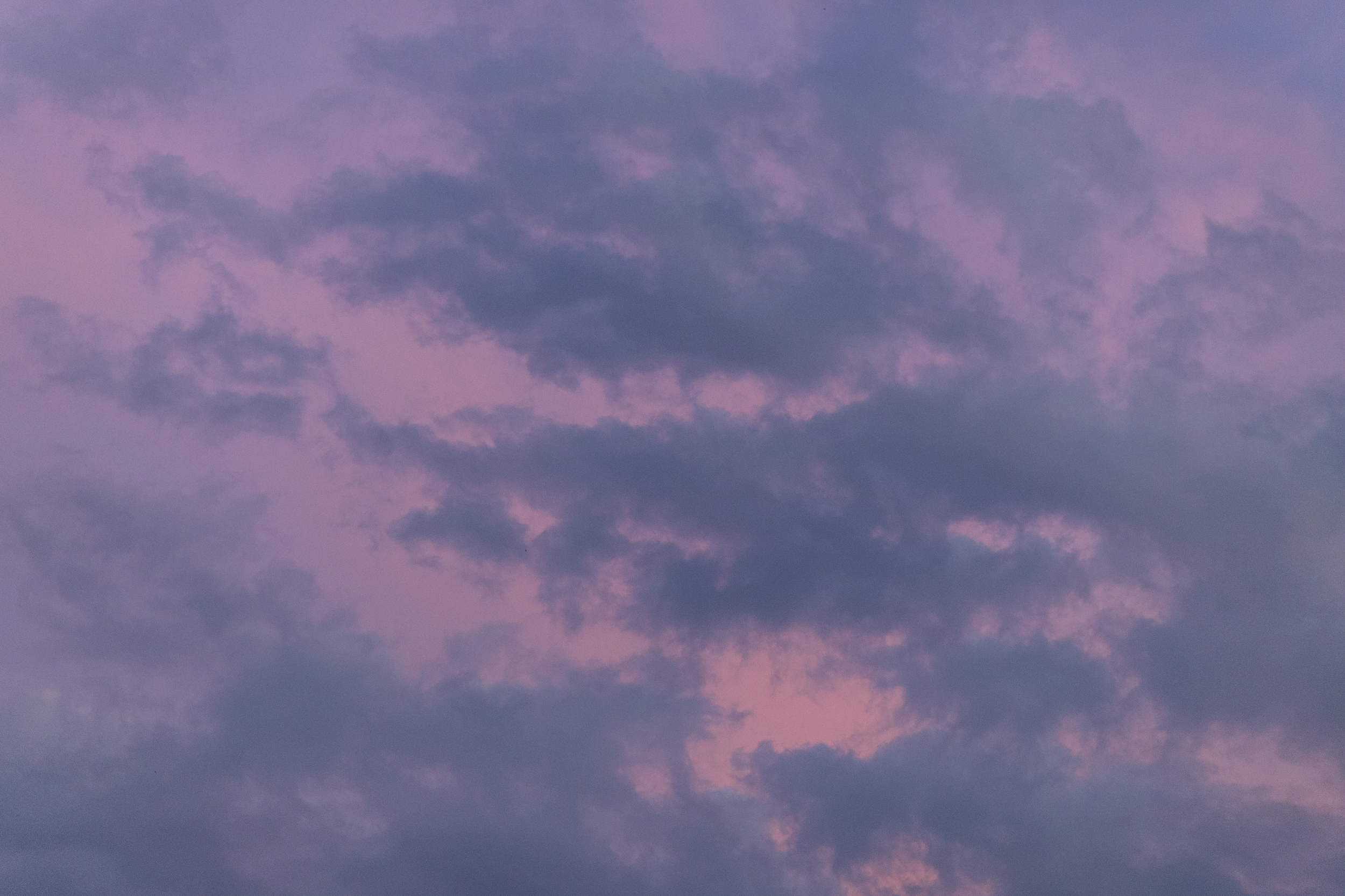 Pulmapidu kodurannas I Pulmafotograaf Reti Kokk