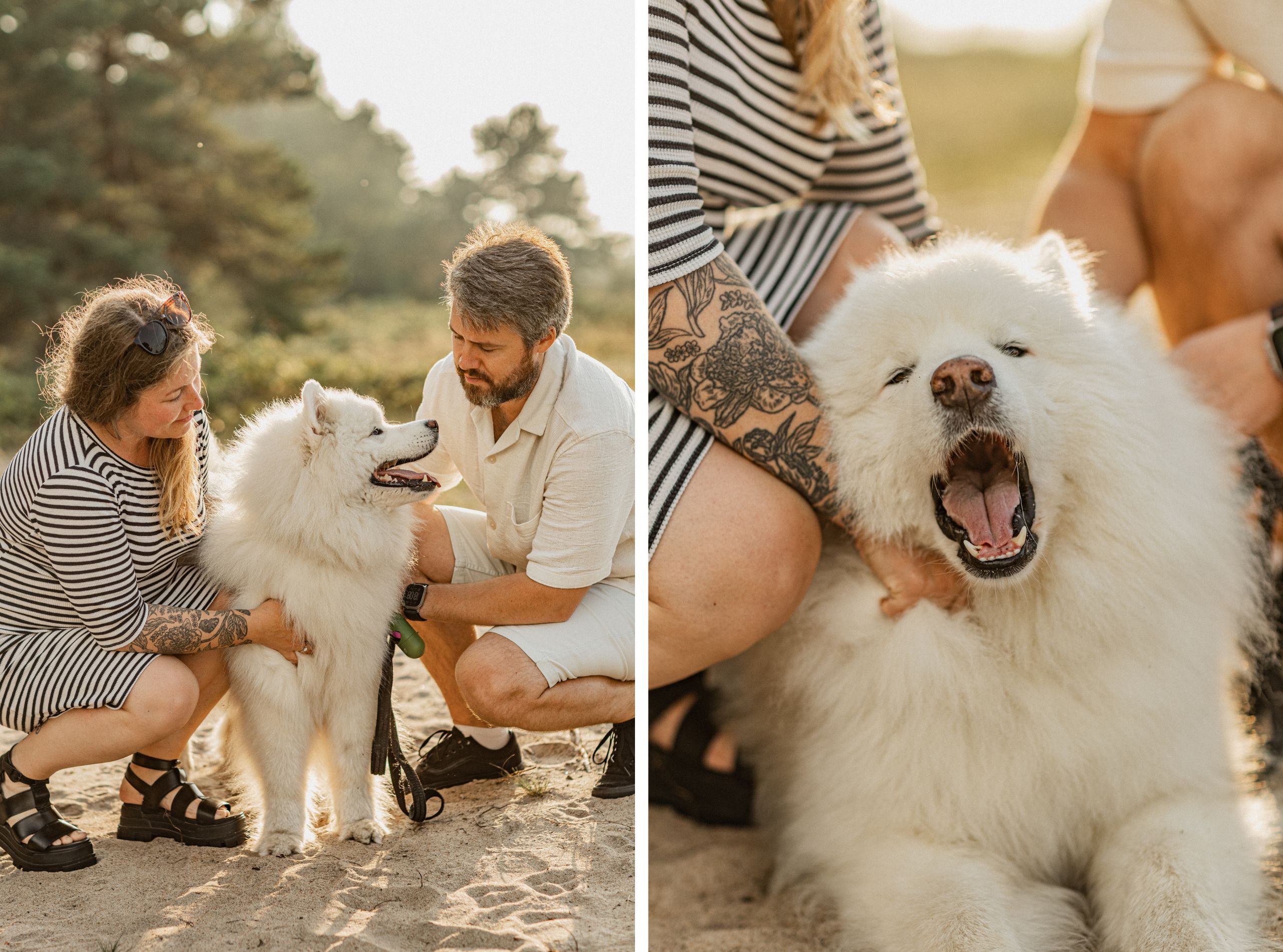 Beebiootuse fotosessioon koeraga rannas I Fotograaf Reti Kokk