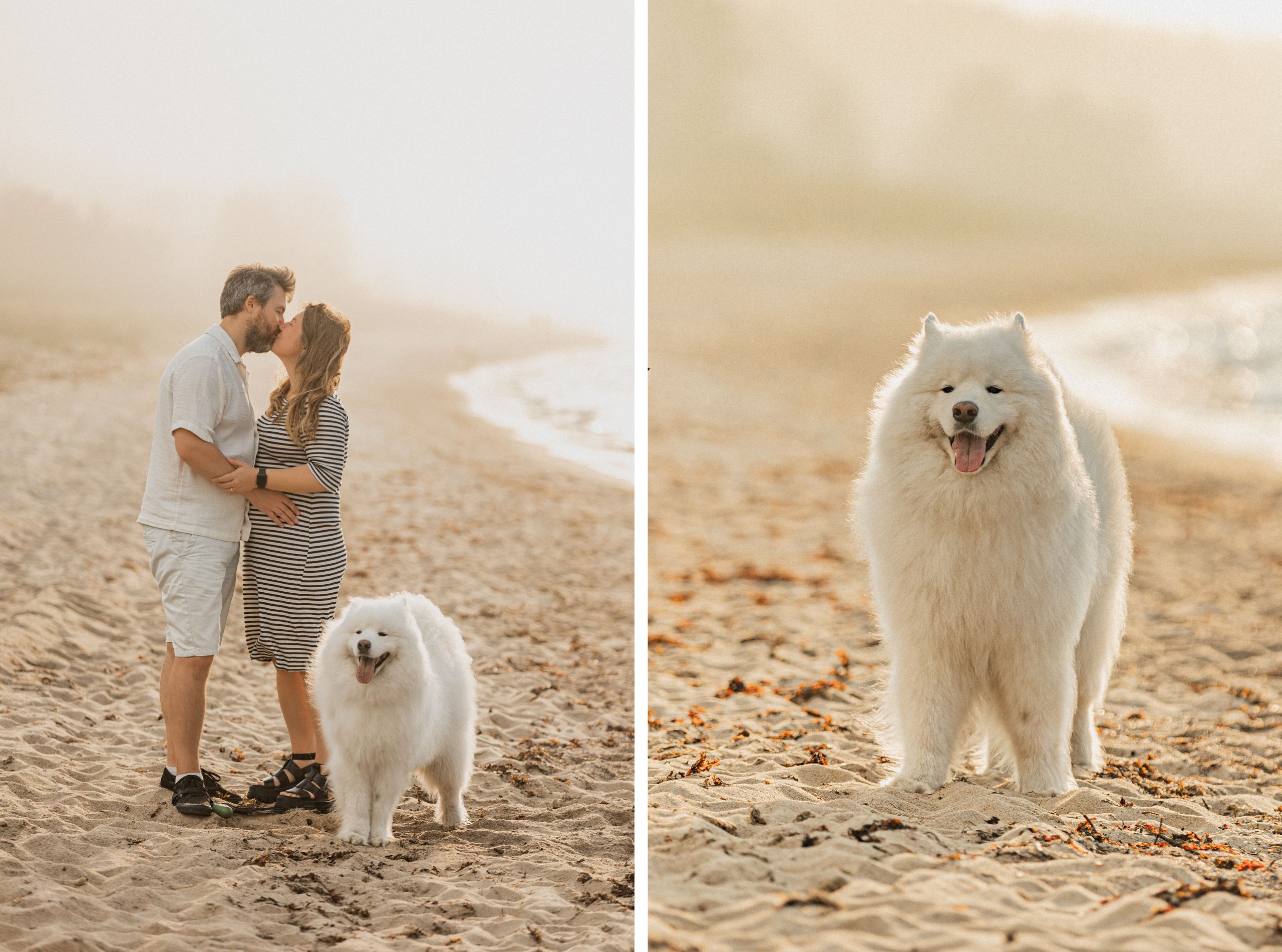 Beebiootuse fotosessioon koeraga rannas I Fotograaf Reti Kokk