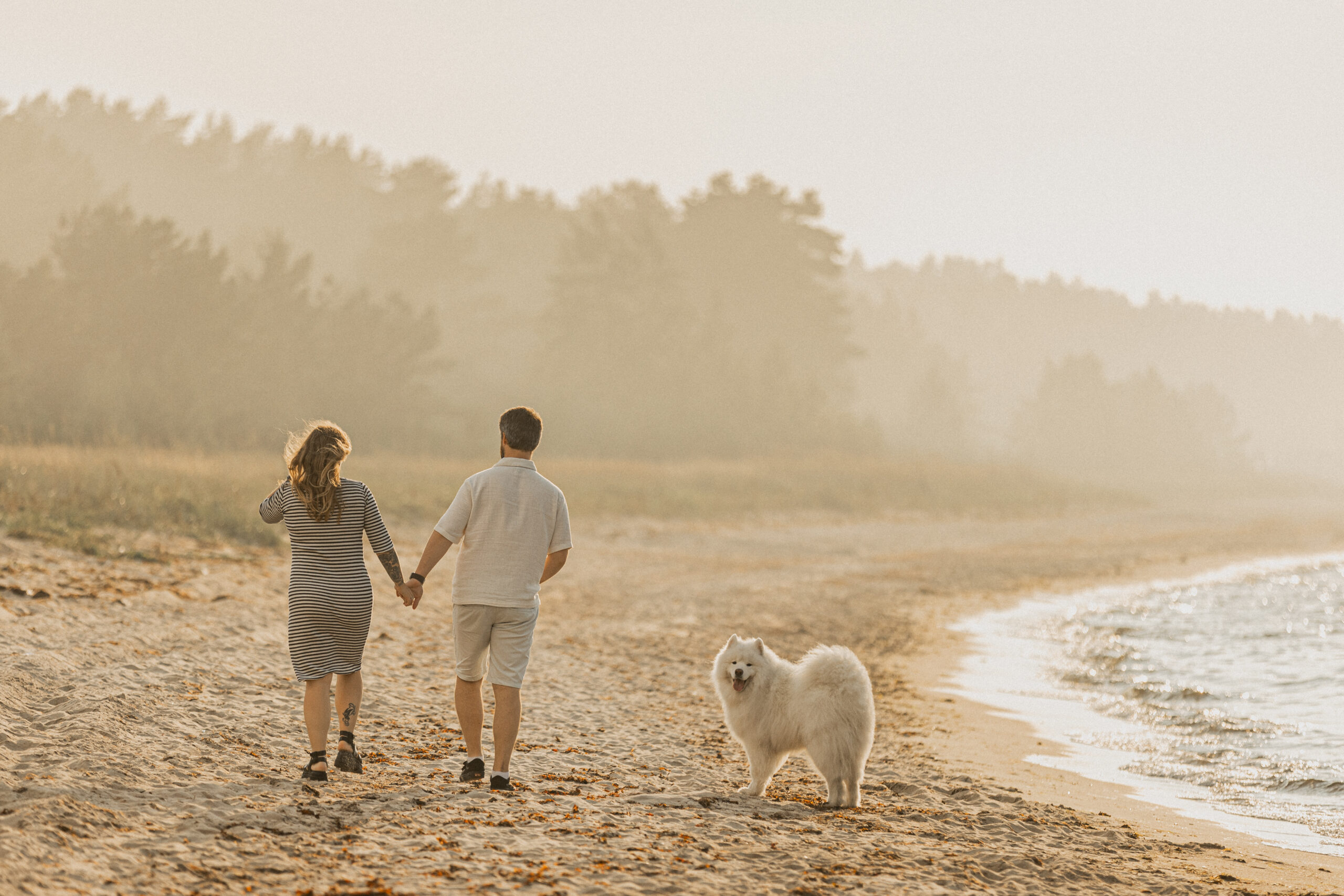 Beebiootuse fotosessioon koeraga rannas I Fotograaf Reti Kokk